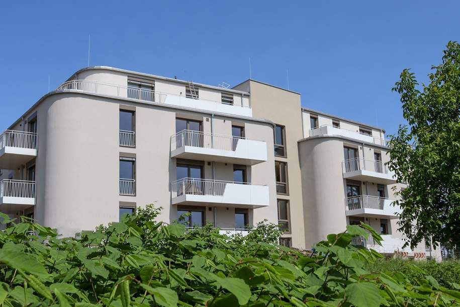 Helle Neubauwohnungen direkt an der Traisen, Haus-kauf, 3100 Sankt Pölten(Stadt)