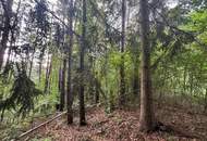 Idyllisches Grundstück am Ende einer Sackgasse – sonniger Bauplatz mit eigenem Wald