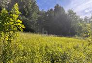 RUHIGES LEBEN IN IDYLLISCHER WALDRANDLAGE