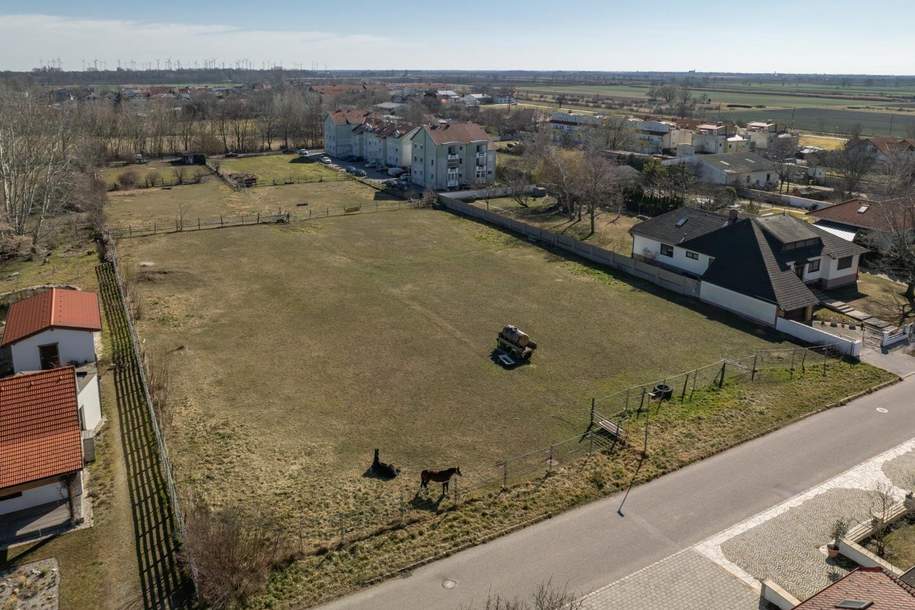 Exklusives Baugrundstück in Gols – Ideales Projektpotenzial für Investoren und Bauträger - zu kaufen!, Grund und Boden-kauf, 1.250.000,€, 7122 Neusiedl am See
