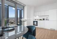 2 Zimmer 1 Loggia Westblick. Skyline einfach DC2