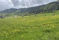Traumgrundstück für Ihr Einfamilienhaus in Wildschönau-Niederau