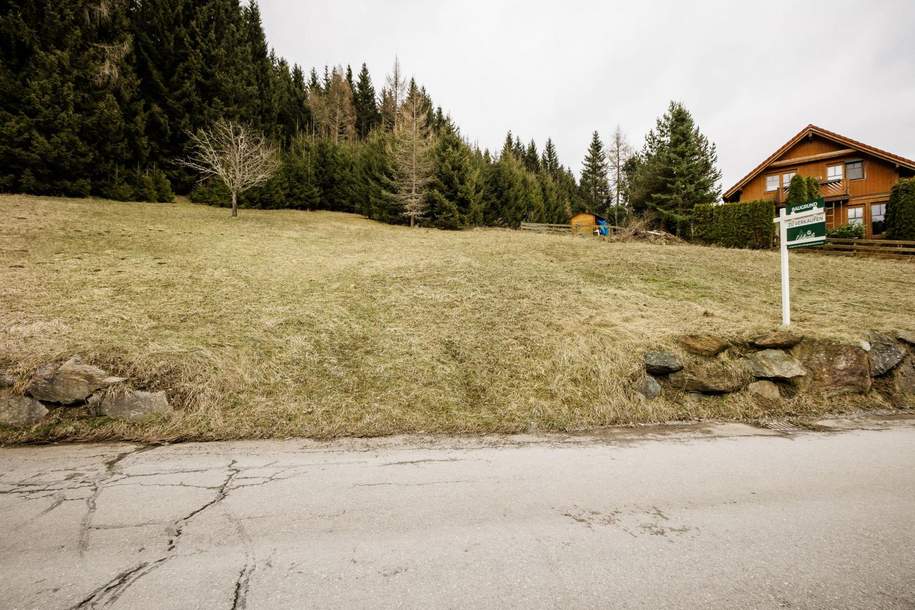 Sonne, Natur & klare Luft auf der Stolzalpe!, Grund und Boden-kauf, 99.000,€, 8850 Murau