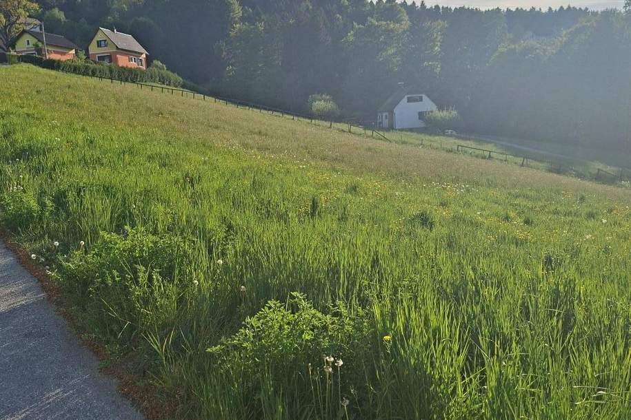 Großes Baugrundstück (teilbar)!, Grund und Boden-kauf, 8570 Voitsberg