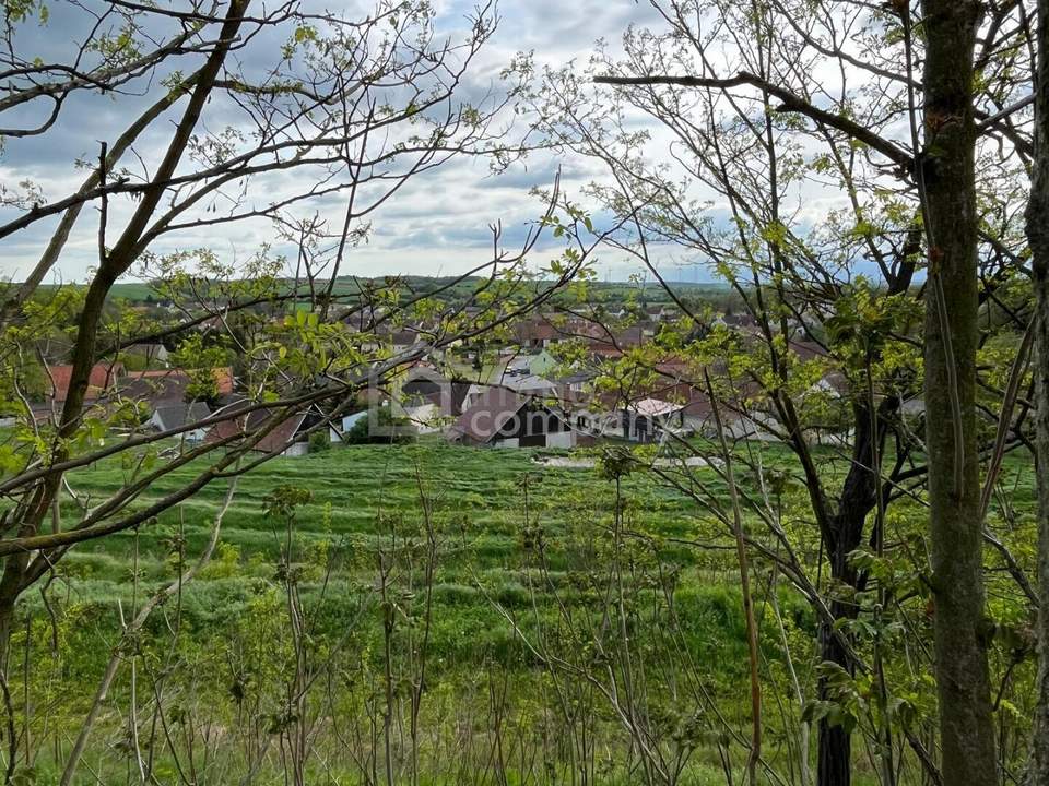 Verborgener Schatz im Reintal - ein Weinviertler Wohnjuwel mit Potenzial
