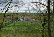 Verborgener Schatz im Reintal - ein Weinviertler Wohnjuwel mit Potenzial