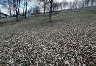 Baugrund - Sonnenlage - Aussichtslage - Hanglage am Ring in Hartberg