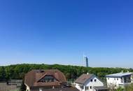 HAUS-MIETE- Wunderschönes Doppel-Haus mit herrliche Terrasse &amp; Garten - BRUCKHAUFEN - Nähe Donauturm - Uno-City!