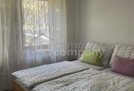 Bauernhaus im Dornröschenschlaf... historisch und mit so viel Potential