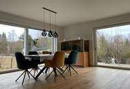 Modernes Einfamilienhaus in sonniger Ruhelage von Schardenberg