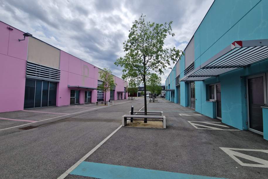 PRODUKTIONS- UND HALLENFLÄCHEN IN HOCHMODERNEM BUSINESSPARK SAMT DIREKTEM BAHNANSCHLUSS MITTEN IN DER STADT, Gewerbeobjekt-miete, 81.576,00,€, 2100 Korneuburg