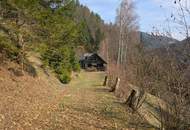 Zwei sanierungsbedürftige Häuser in absoluter Ruhe/Alleinlage