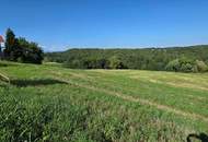 3 Baugrundstücke 15 km östlich von Graz zum Sonderpreis!