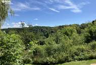Landsitz in Einzellage - 6 Hektar - Der Garten Eden könnte nicht schöner sein !