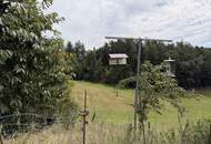 Sacherl in Ruhelage - Ein Platz zum Durchatmen