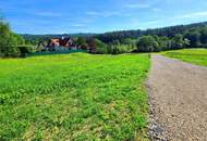Sonnenlage am Waldrand, Schöcklblick, aufgeschlossen & frei von Servituten (1 in Verhandlung/1 frei)