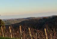 IN SLOWENIEN - Weingut in spektakulärer Alleinlage mit traumhafter Aussicht!