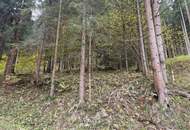 Zusammenhängende, ca. 2,35 ha große Waldfläche in Weitenbach bei Reichenfels im Lavanttal