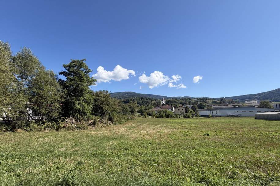 Grundstück im Kerngebiet 3.825 m² - Potenzial & Ausblick, Grund und Boden-kauf, 287.000,€, 8184 Weiz