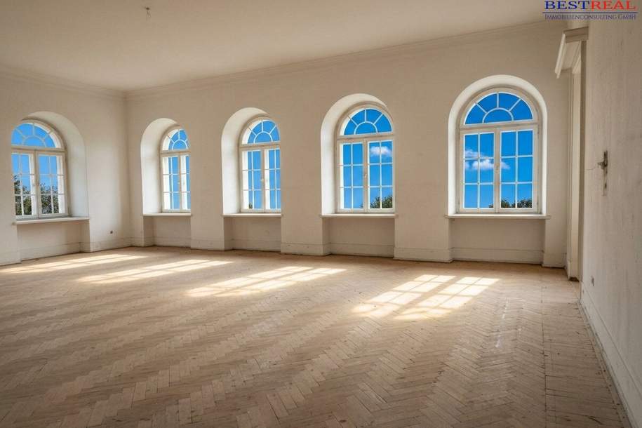 12 freie Wohn- Büro- Loft- Räume - Altbau - Nahe Augarten-Park U2, Gewerbeobjekt-miete, 27.718,50,€, 1020 Wien 2., Leopoldstadt