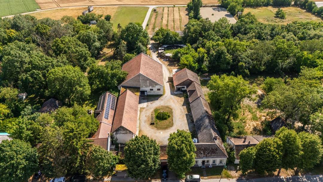 "Großzügiges Grundstück mit Pferdehof und sanierungsbedürftigem Haus – nur Minuten von Wien entfernt"