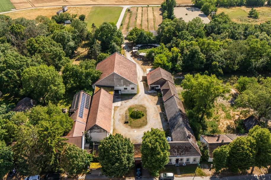 "Großzügiges Grundstück mit Pferdehof und sanierungsbedürftigem Haus – nur Minuten von Wien entfernt", Gewerbeobjekt-kauf, 750.000,€, 2301 Gänserndorf