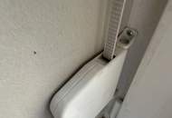 Altbaujuwel im Pratercottage – ruhig gelegen mit Entwicklungspotenzial | ZELLMANN IMMOBILIEN