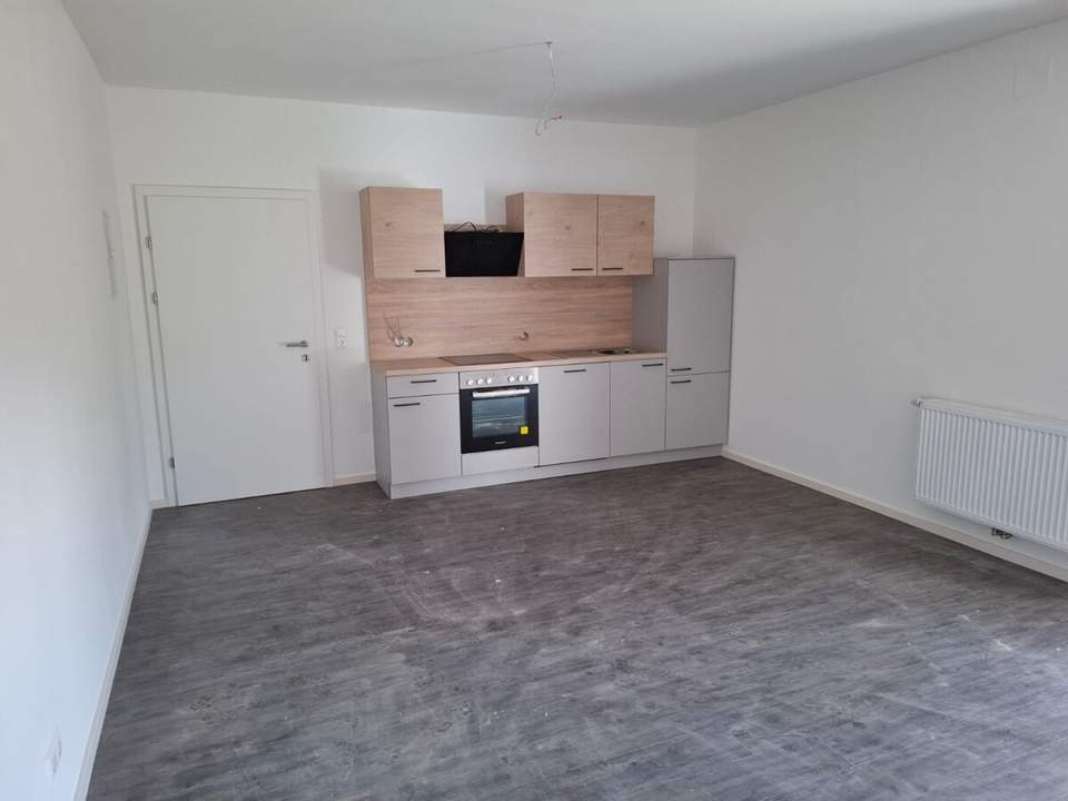 Neu renovierte 2-Zimmer Wohnung mit Küche und Loggia
