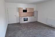 Neu renovierte 2-Zimmer Wohnung mit Küche und Loggia