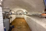 Einfamilienhaus mit einer Einliegerwohnung im Südburgenland