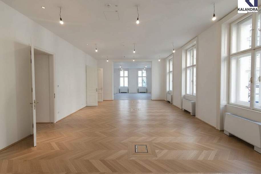 REPRÄSENTATIVES BÜRO NAHE RATHAUSPLATZ, Gewerbeobjekt-miete, 19.734,00,€, 1010 Wien 1., Innere Stadt