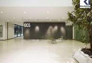 MODERNE BÜROFLÄCHEN