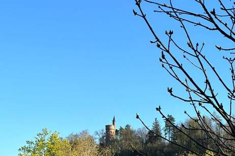 COMING SOON - RESIDENZEN AN DER TRAUN - AB JETZT RESERVIEREN, Haus-kauf, 4600 Wels(Stadt)