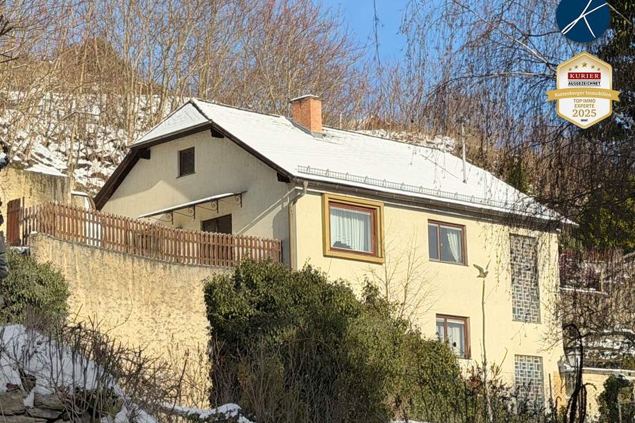 Einfamilienhaus mit Garten in Bestlage von Stein, Haus-kauf, 615.000,€, 3500 Krems an der Donau(Stadt)