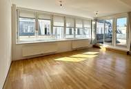 Klimatisierte Terrassenwohnung mit Blick auf das Haus des Meeres und auf die Mariahilferstraße
