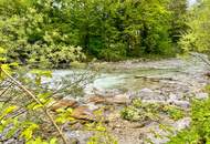 Naturgenuss pur! Ruhige, möblierte Wohnung