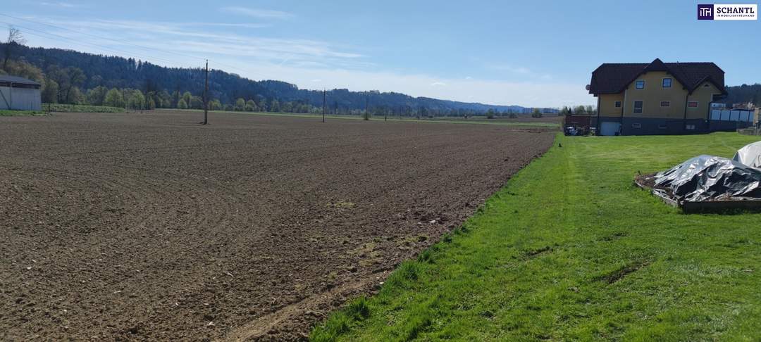 ++GEWERBEGRUNDSTÜCK ca. 20.0000 m² im GROßRAUM von GRAZ und LEIBNITZ++ PERFEKTE VORRAUSSETZUNGEN für BETRIEBSANSIEDLUNG gegeben++ BD 0,2 - 0,6++