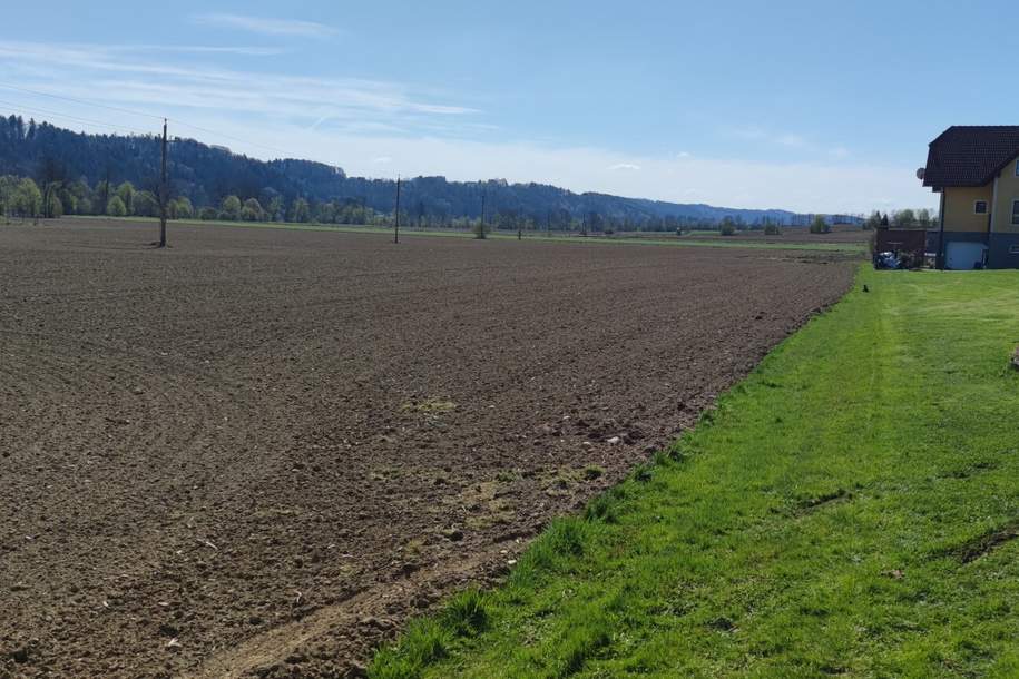 ++GEWERBEGRUNDSTÜCK ca. 20.0000 m² im GROßRAUM von GRAZ und LEIBNITZ++ PERFEKTE VORRAUSSETZUNGEN für BETRIEBSANSIEDLUNG gegeben++ BD 0,2 - 0,6++, Grund und Boden-kauf, 1,€, 8081 Leibnitz