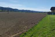 ++GEWERBEGRUNDSTÜCK ca. 20.0000 m² im GROßRAUM von GRAZ und LEIBNITZ++ PERFEKTE VORRAUSSETZUNGEN für BETRIEBSANSIEDLUNG gegeben++ BD 0,2 - 0,6++