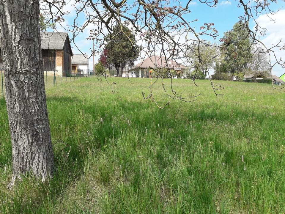 Sonniges Baugrundstück im Südburgenland!