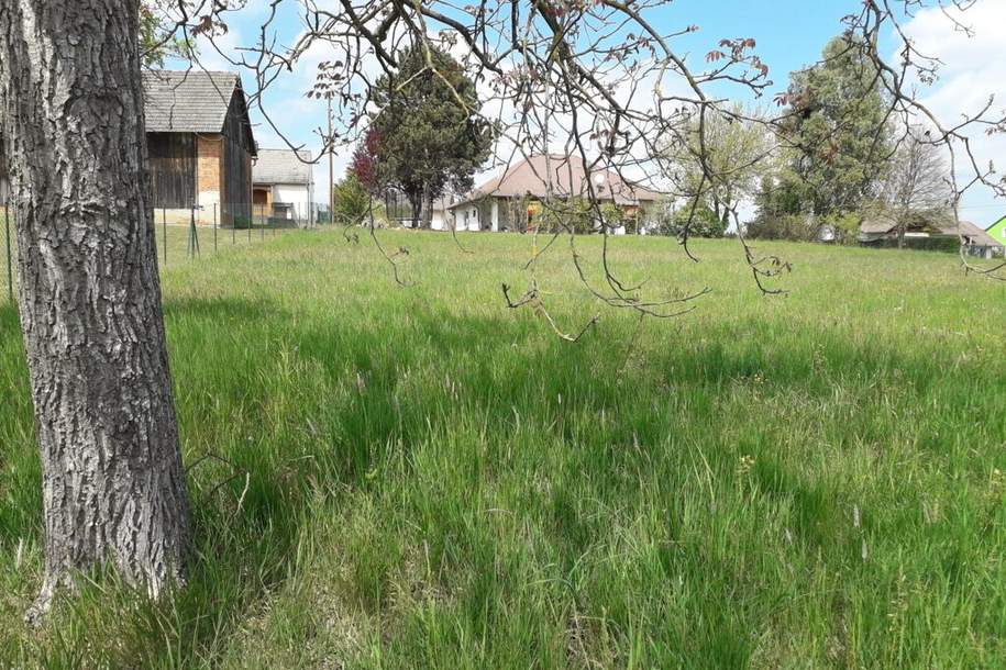 Sonniges Baugrundstück im Südburgenland!, Grund und Boden-kauf, 45.000,€, 7511 Oberwart