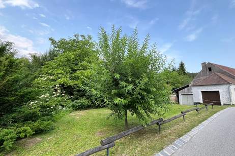 IHR SANIERUNGSBEDÜRFTIGES PARADIES FÜR MENSCH UND TIER MIT POTENTIAL UND GROSSEM GRUNDSTÜCK, Haus-kauf, 399.000,€, 3550 Krems(Land)