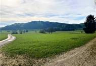 Bauernhaus mit Nebengebäude und Feldern in Durchham