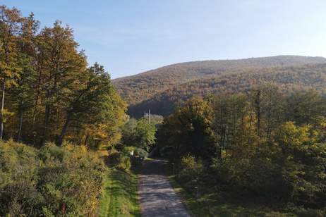 SAGENHAFT - Nachhaltige Massivholz-Einfamilienhäuser, Haus-kauf, 600.000,€, 3002 Sankt Pölten(Land)