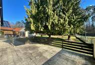 Ruheoase am Totenhauerwald in Mistelbach!