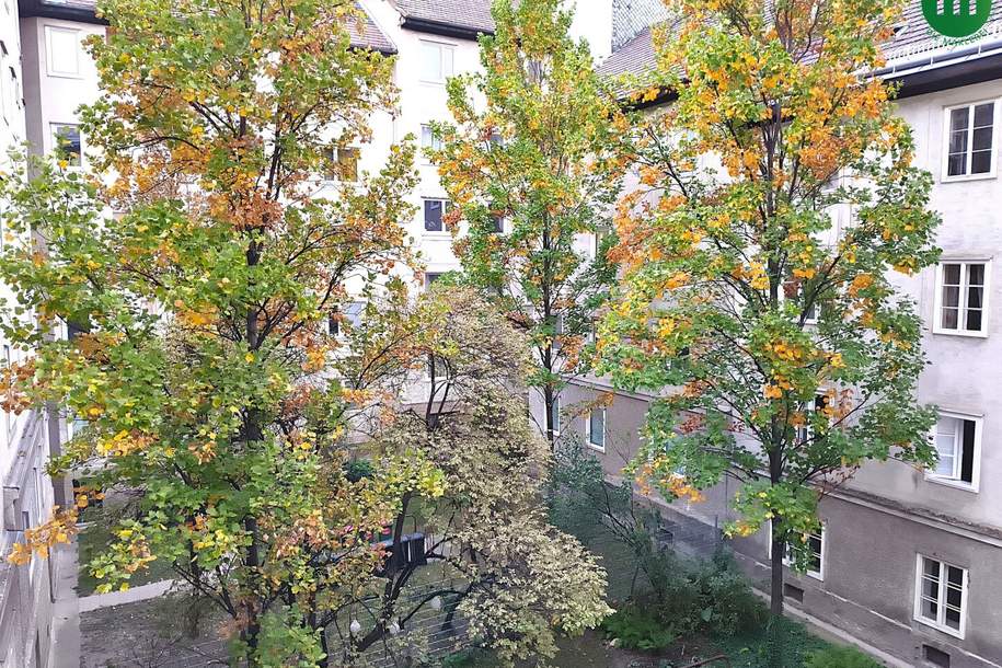 UNBEFRISTETE MIETE: Garconniere in Hofruhelage nahe Matzleinsdorfer Platz, Wohnung-miete, 429,90,€, 1100 Wien 10., Favoriten