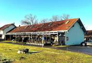 Galeriewohnung mit Kellerersatzraum und Autoabstellplatz am Stadtrand.