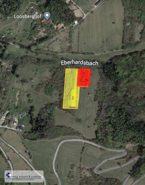 Verwilderter, mit alten Sorten bestückter Obstgarten im Moment als Wald gewidmet mit RODUNGSBESCHEID