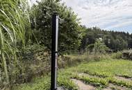 Sacherl in Ruhelage - Ein Platz zum Durchatmen