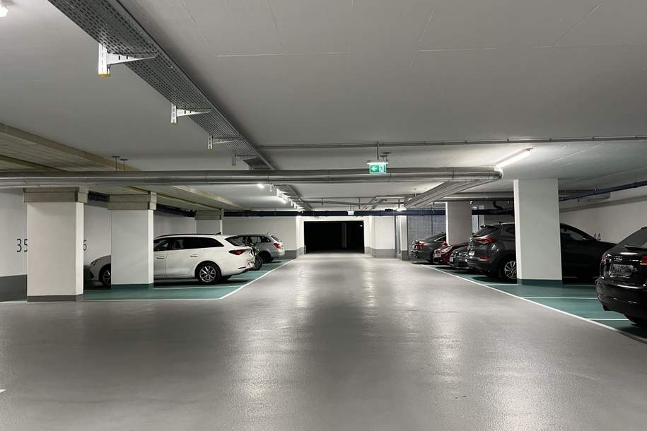 Garagenstellplatz mit E-Ladestation beim Kirschblütenpark, Kleinobjekte-miete, 120,00,€, 1220 Wien 22., Donaustadt